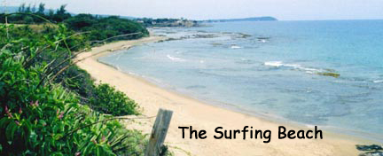 1556.surfing_beach_pg2.jpg
