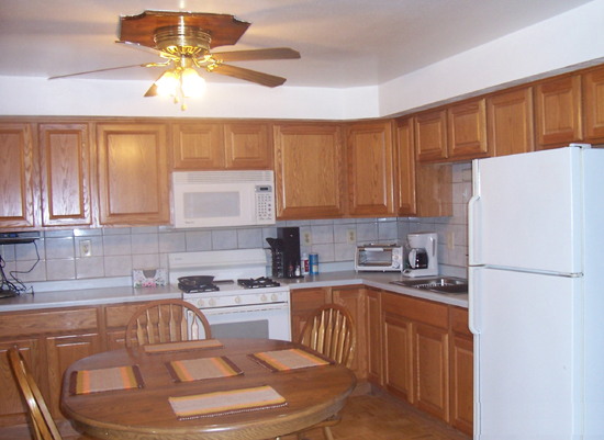 2007.kitchen560.jpg